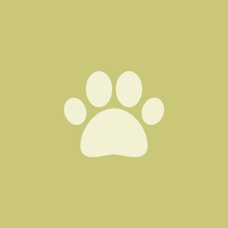 Veterinary team member at Soda Springs Animal Clinic in Soda Springs, Idaho