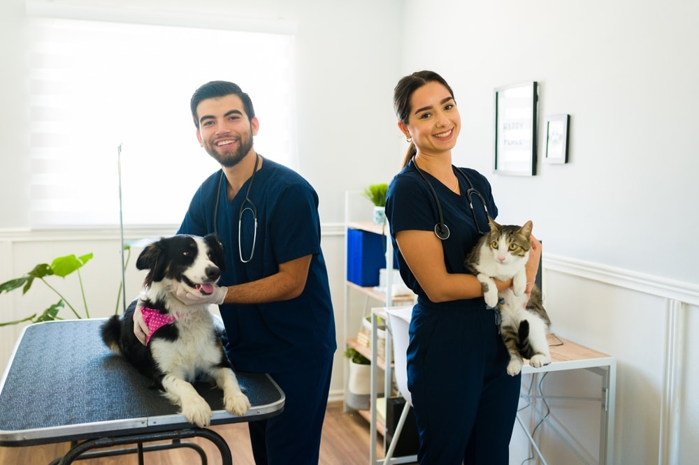 Veterinary professionals smiling while holding a dog and a cat inside a modern clinic