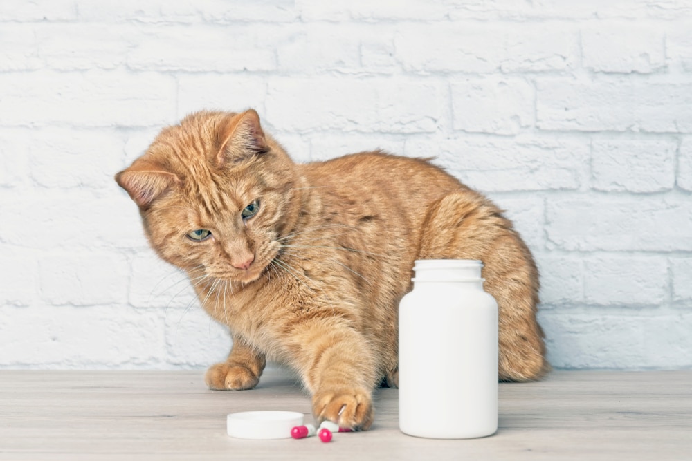An orange tabby cat sits on a wooden table next to an open white pill bottle, reaching a paw toward several red and white capsules spilled on the surface.An orange tabby cat sits on a wooden table next to an open white pill bottle, reaching a paw toward several red and white capsules spilled on the surface..