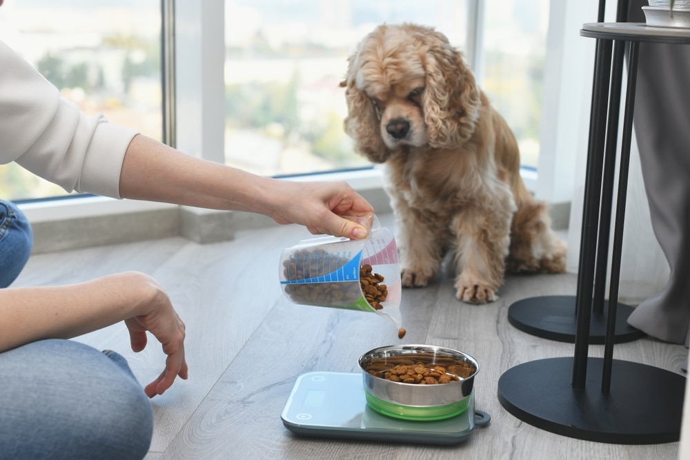 Dog food portion control with measured servings to help maintain a healthy weight and balanced nutrition.
